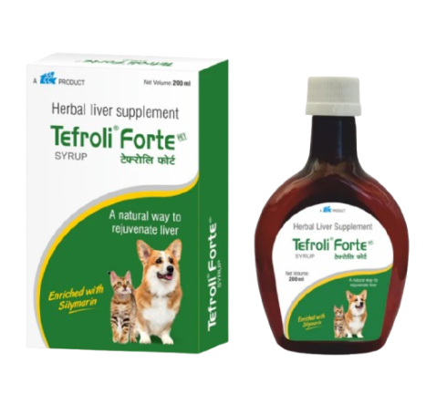 Tefroli Forte Syrup